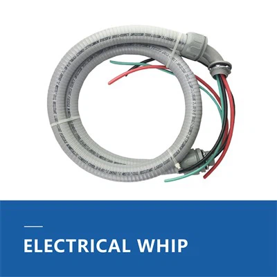 3 4 Fouet électrique